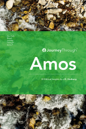 Journey through Amos